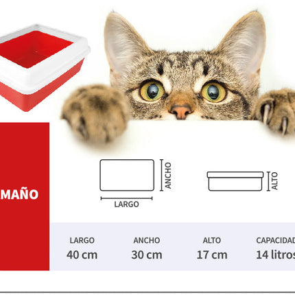Arenero