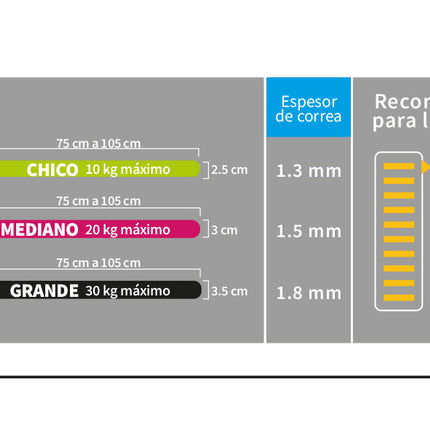 Cinturón de Seguridad Universal 2 en 1