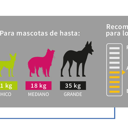 Correa Retráctil