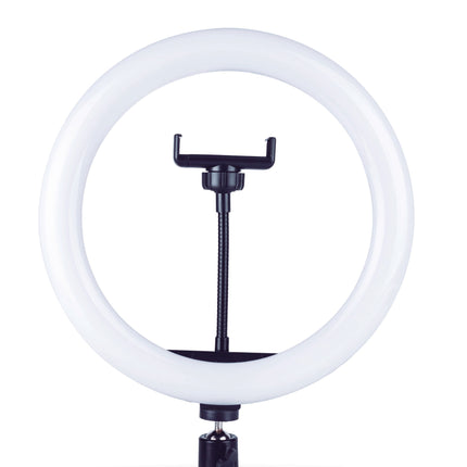 Aro de luz Aksi 26 cm Multitonalidad