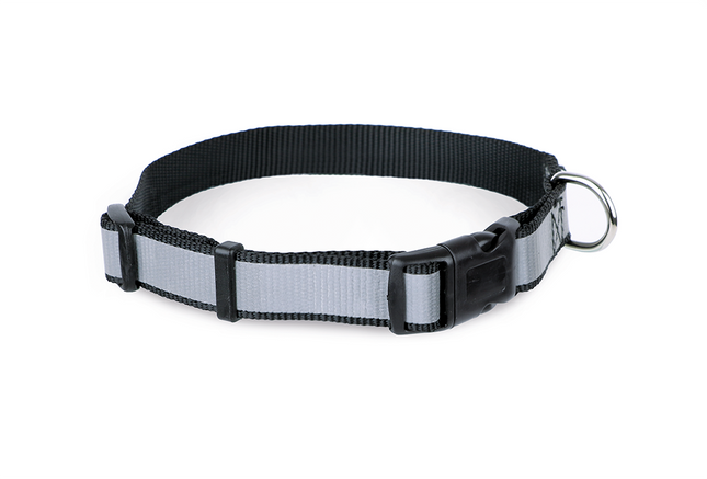 Collar Ajustable con Reflectante