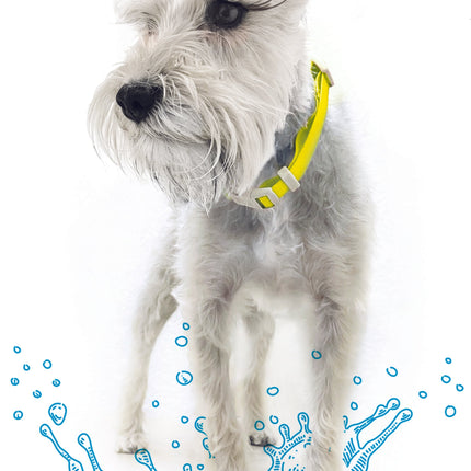Collar Ajustable contra Agua