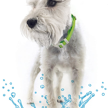 Collar Ajustable contra Agua
