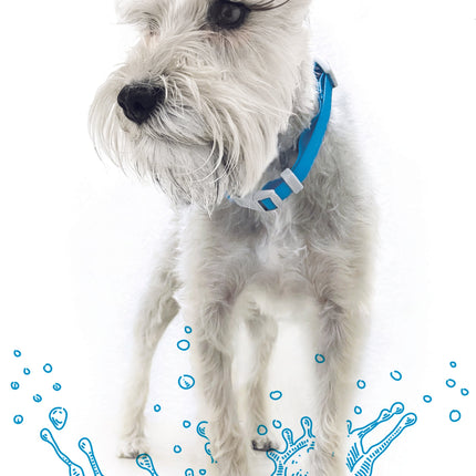 Collar Ajustable contra Agua