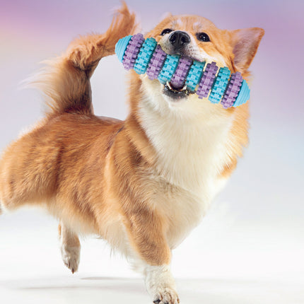 Limpia Dientes para Mascota